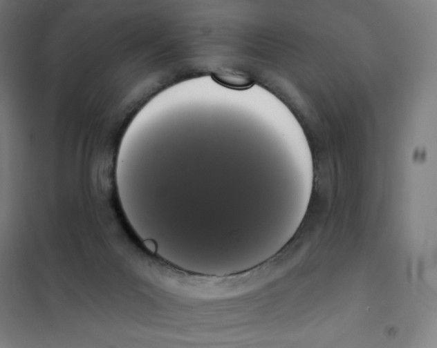 X0000101400023200808041051