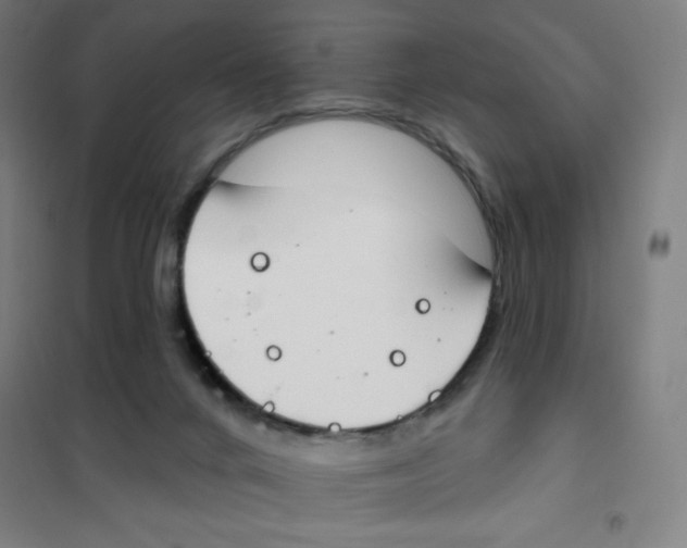 X0000101400024200808041051