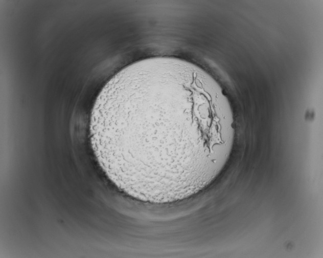 X0000101400026200808041051