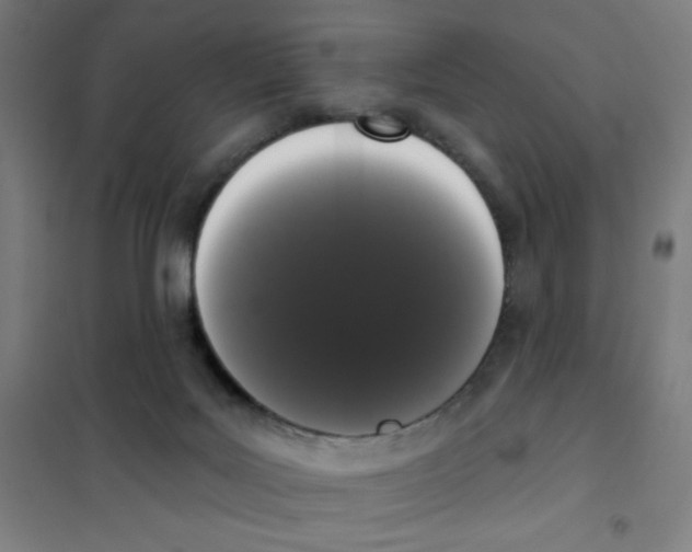 X0000101400027200808041051