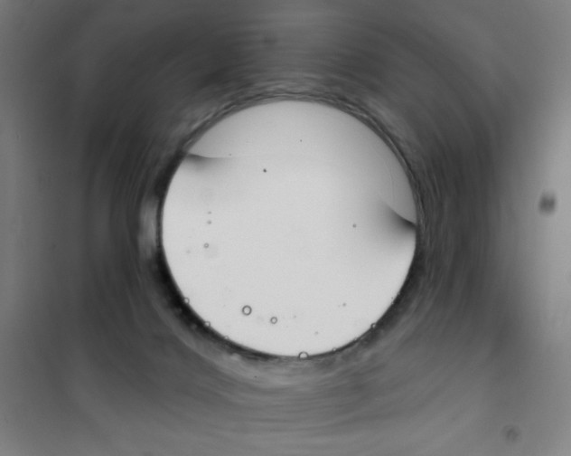 X0000101400028200808041051