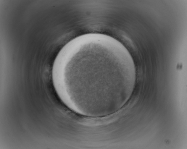 X0000101400029200808041051