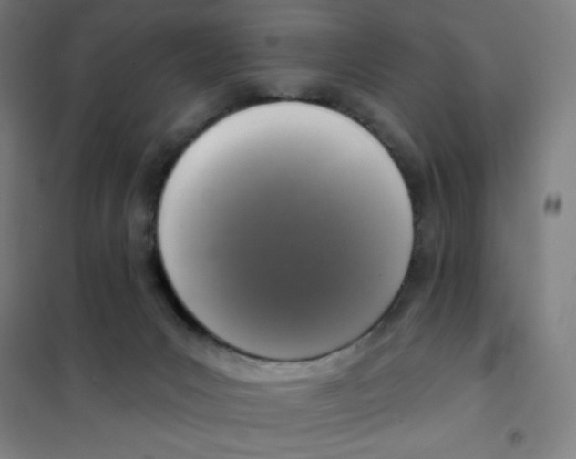 X0000101400031200808041051