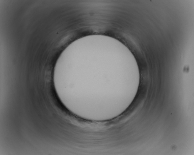 X0000101400032200808041051