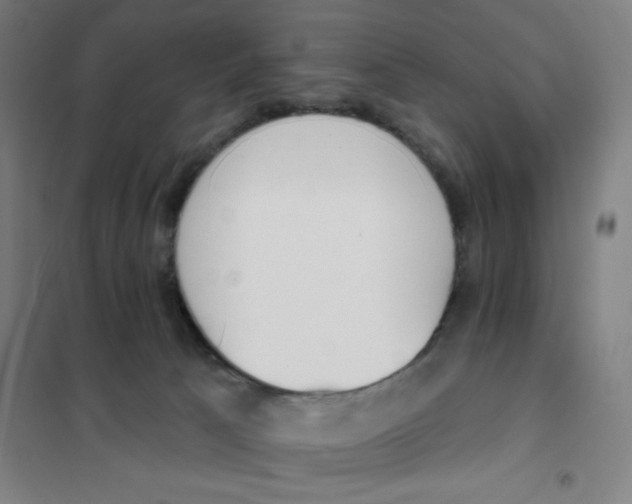 X0000101400033200808041051