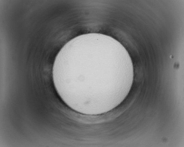 X0000101400034200808041051