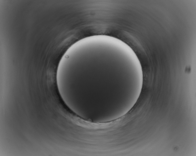 X0000101400035200808041051