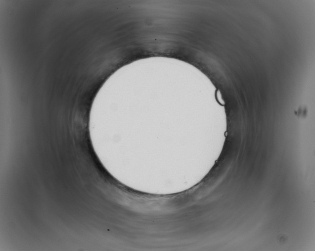 X0000101400040200808041051