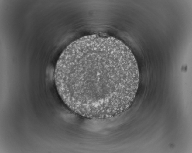 X0000101400041200808041051