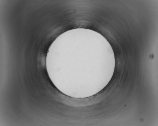 X0000101400042200808041051