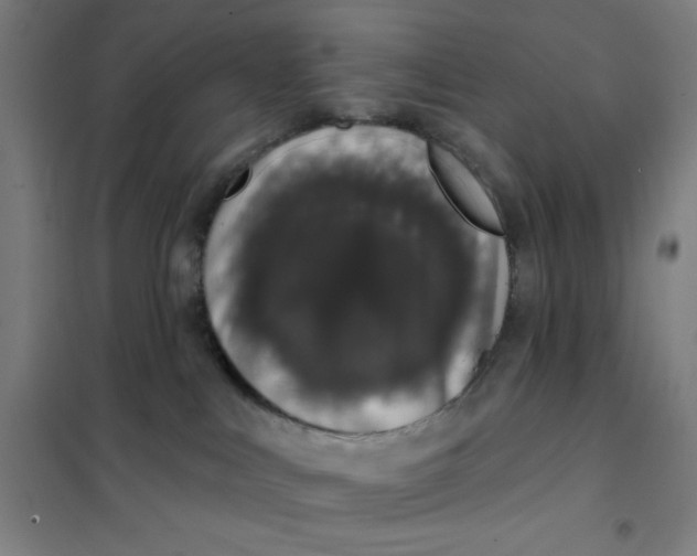 X0000101400043200808041051