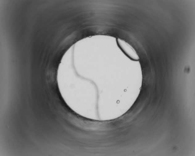 X0000101400044200808041051