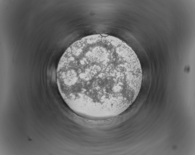 X0000101400046200808041051