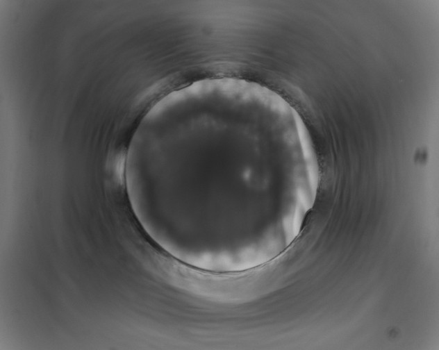 X0000101400047200808041051