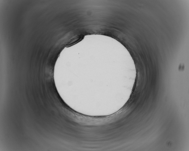 X0000101400048200808041051