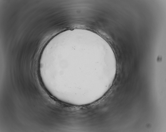 X0000101400049200808041050