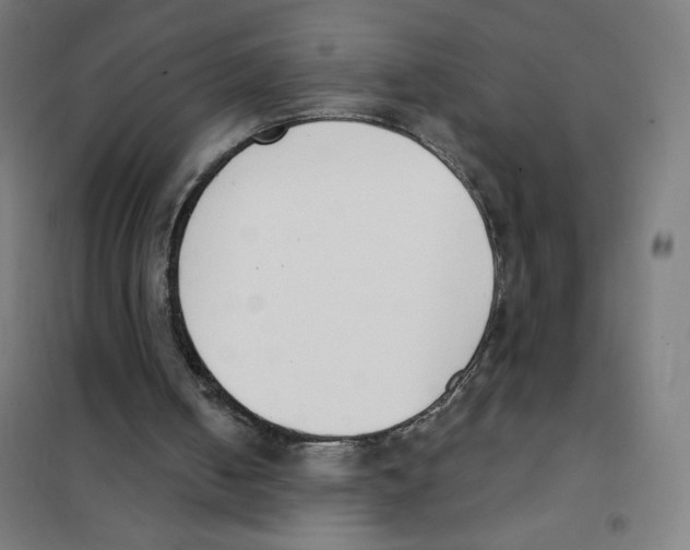 X0000101400050200808041050