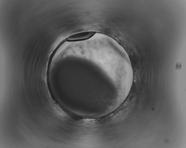 X0000101400052200808041050