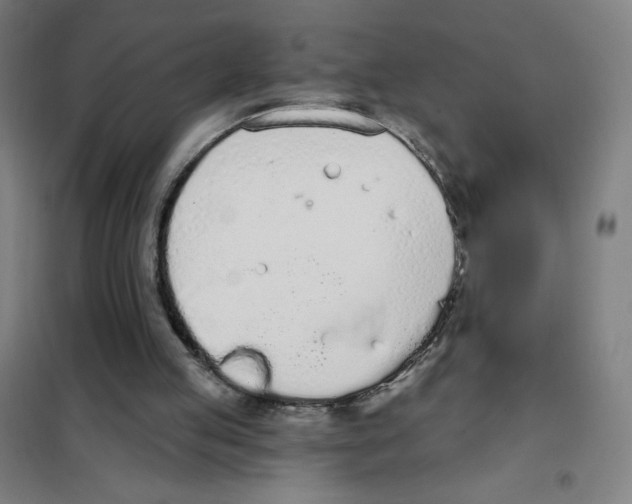 X0000101400053200808041050