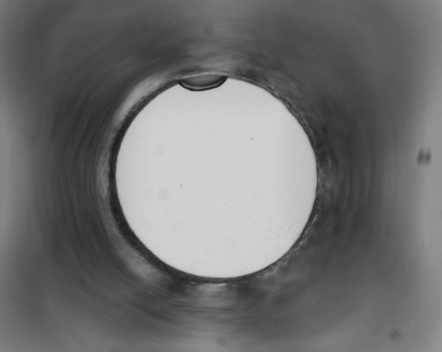 X0000101400054200808041050