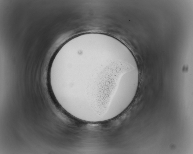 X0000101400055200808041050