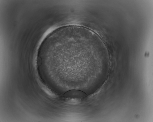 X0000101400056200808041050