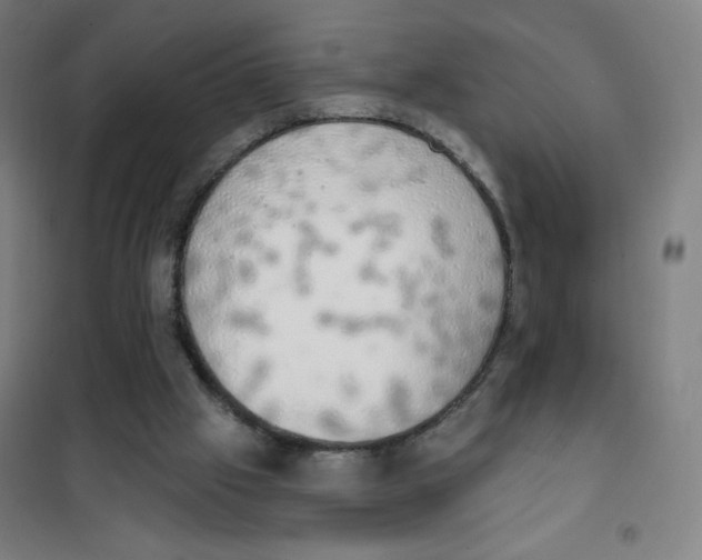 X0000101400057200808041050