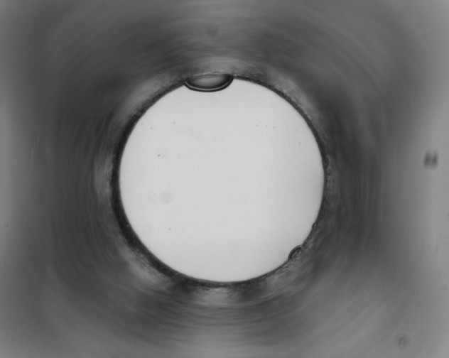 X0000101400058200808041050