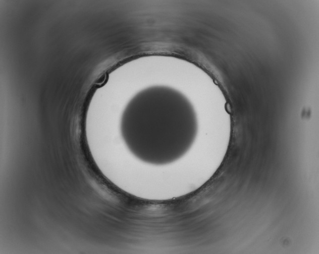 X0000101400059200808041050