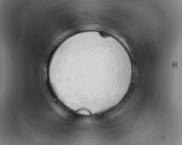 X0000101400061200808041051