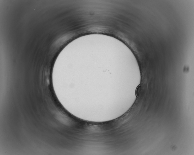 X0000101400062200808041051