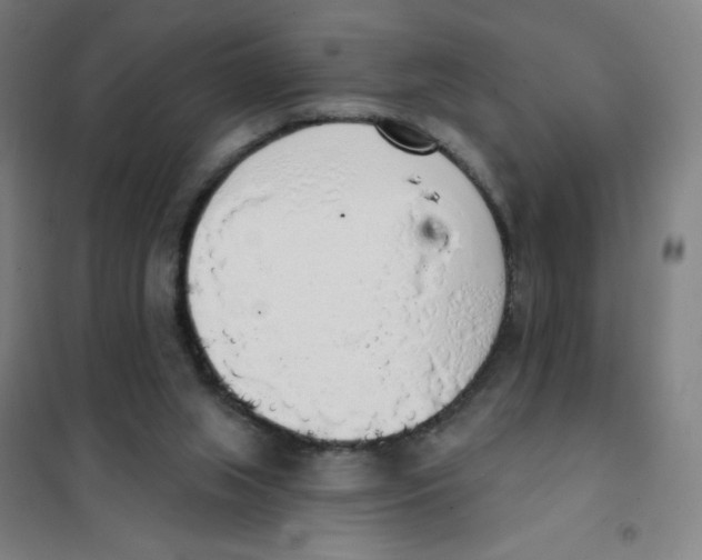 X0000101400063200808041051