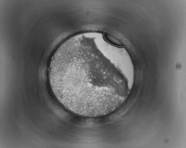 X0000101400064200808041051