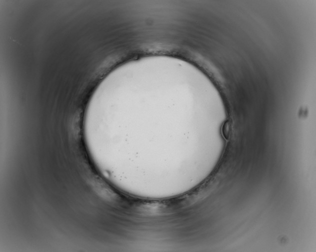 X0000101400065200808041051