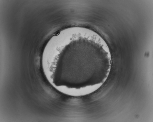 X0000101400067200808041051