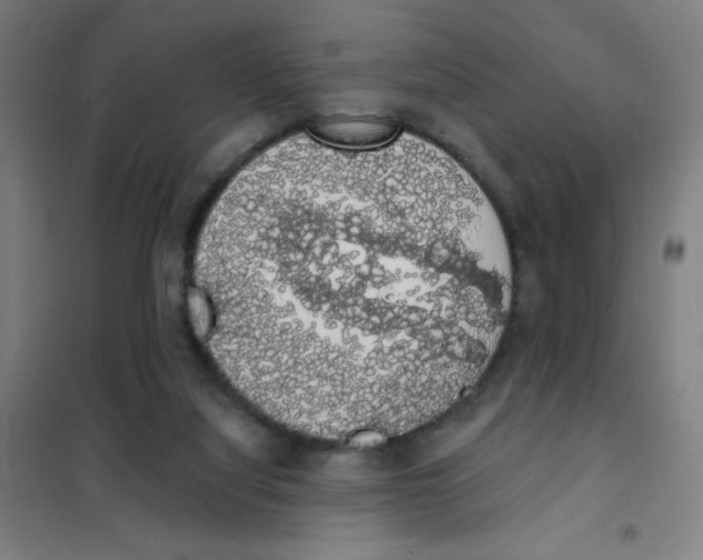 X0000101400068200808041051