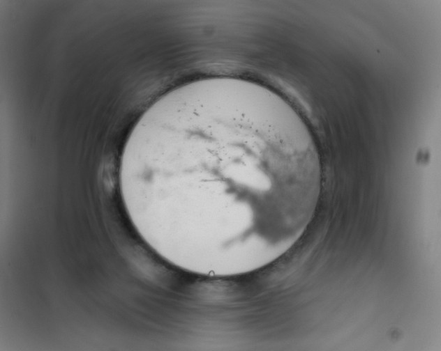 X0000101400069200808041051