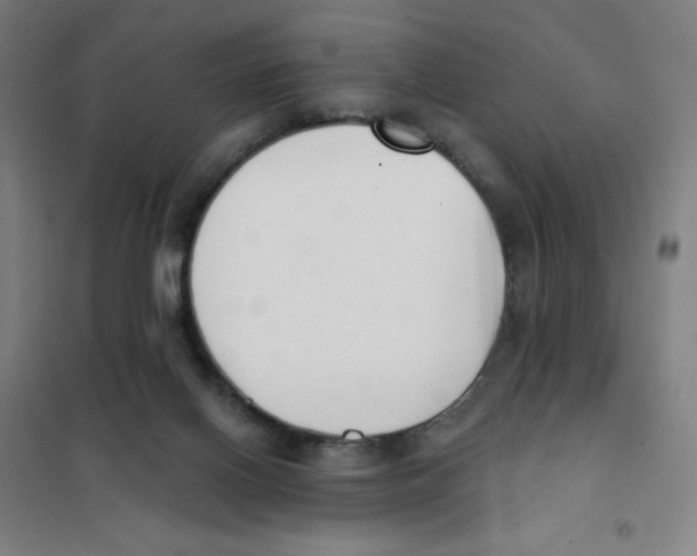 X0000101400070200808041051