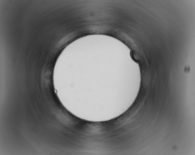 X0000101400071200808041051