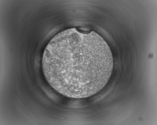 X0000101400072200808041051