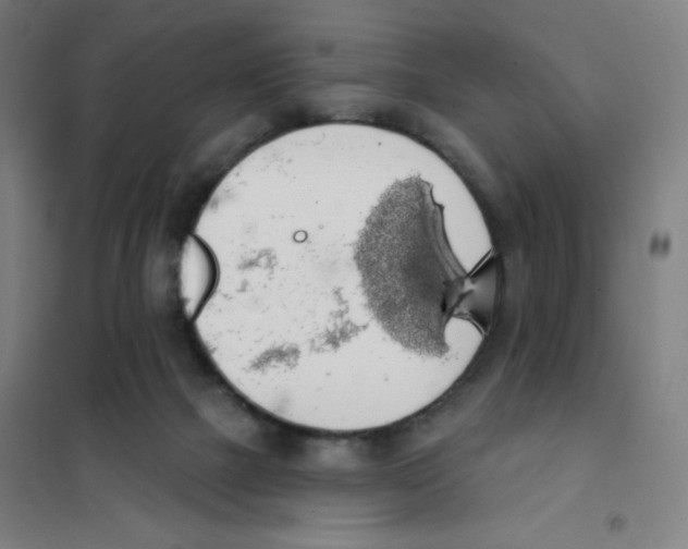 X0000101400073200808041051