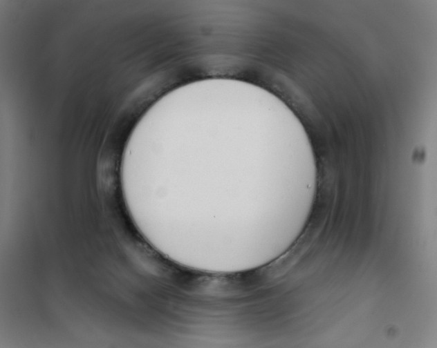 X0000101400074200808041051