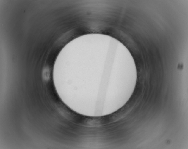 X0000101400075200808041051