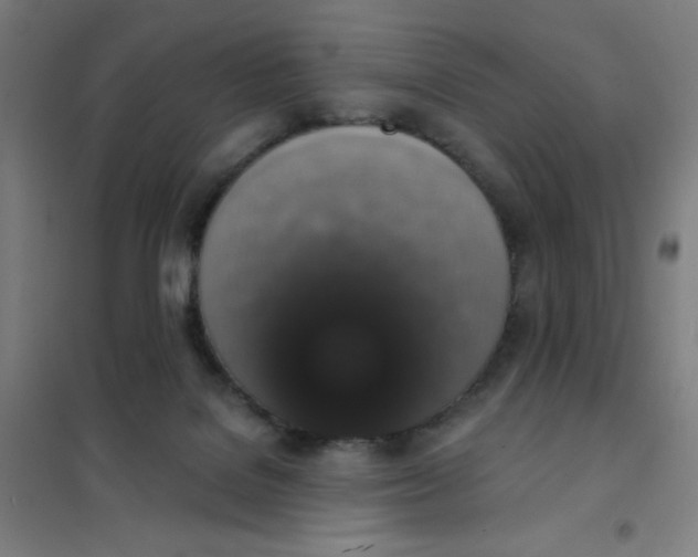 X0000101400076200808041051