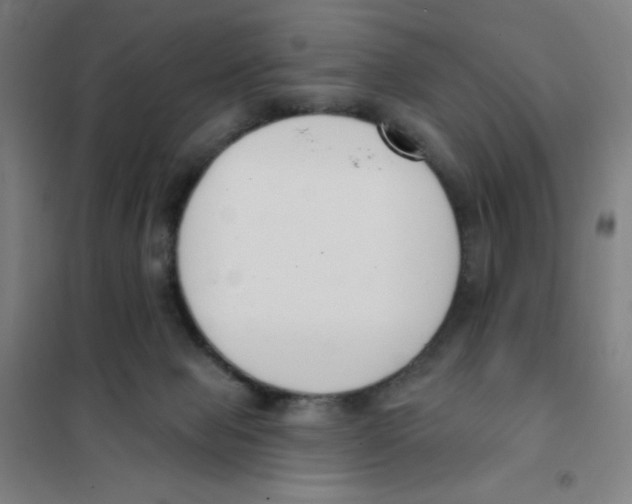 X0000101400077200808041051