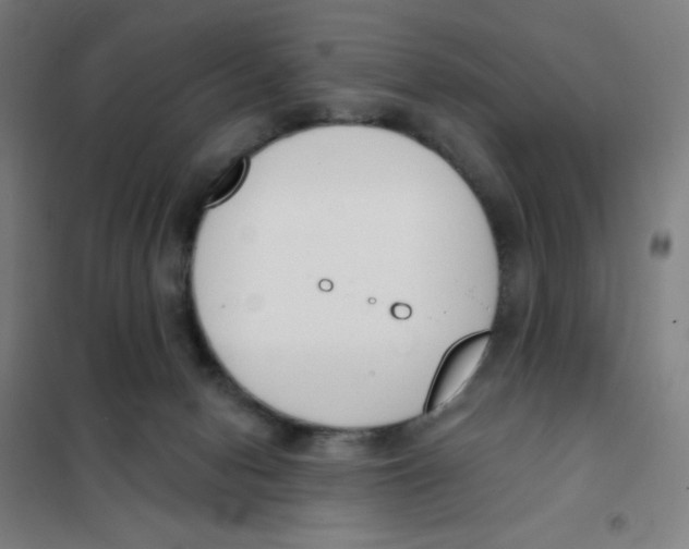 X0000101400078200808041051