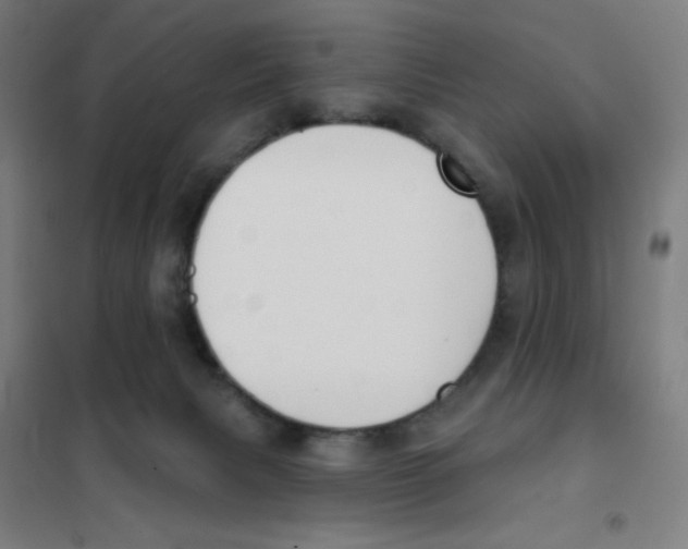 X0000101400079200808041051