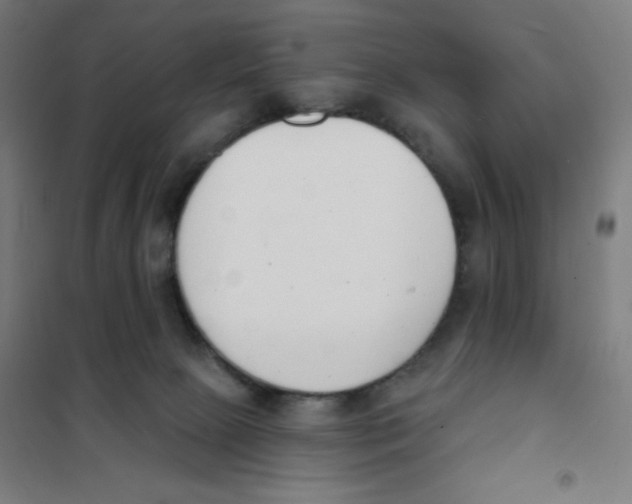 X0000101400081200808041051