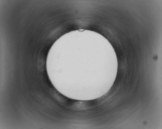 X0000101400082200808041051