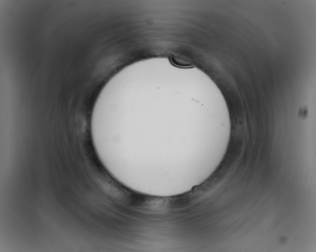 X0000101400084200808041051